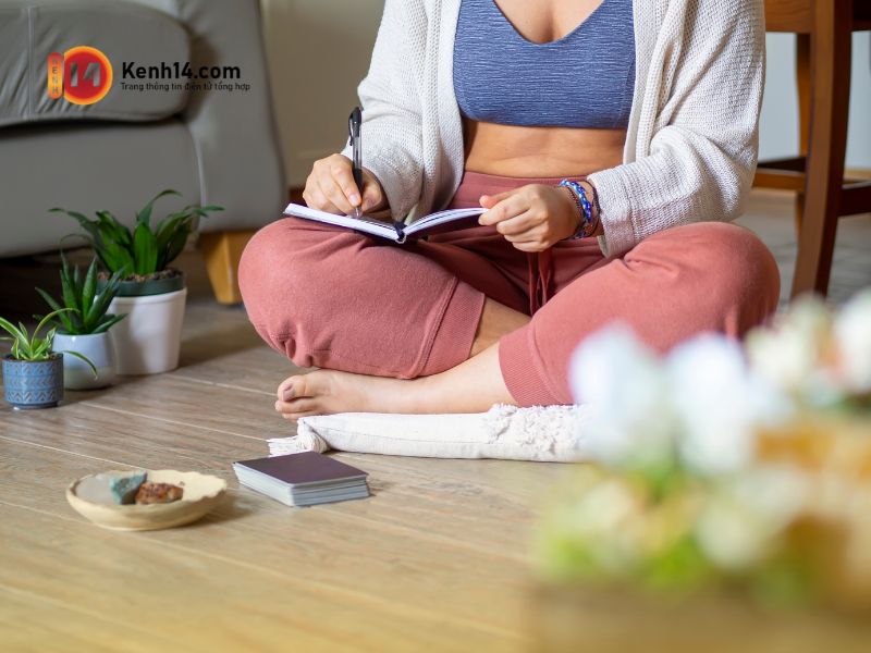 manifest có hại không manifest có hại không