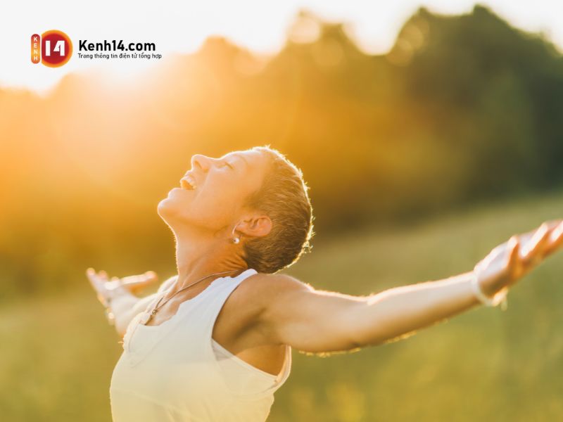 manifest có hại không manifest có hại không