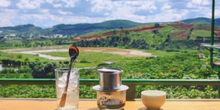 top 7 quan cafe chill da lat khong gian nghe thuat view dep Top 7 Quán Cafe Chill Đà Lạt: Không Gian Nghệ Thuật, View Đẹp