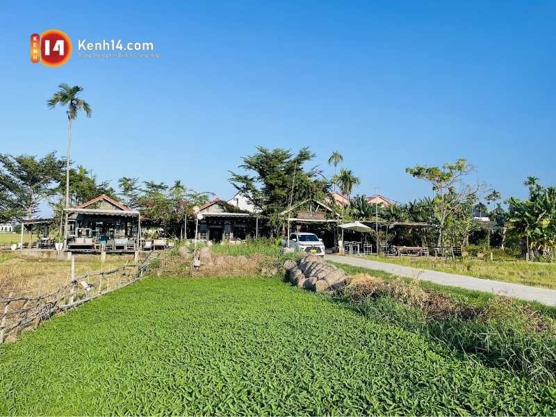 quan cafe chill hoi an 2 Trải nghiệm không gian nhà vườn cực chill của Roving Chillhouse