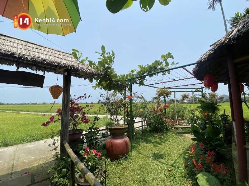 quan cafe chill hoi an 6 Không gian đồng quê của Cà phê Hoa Lúa